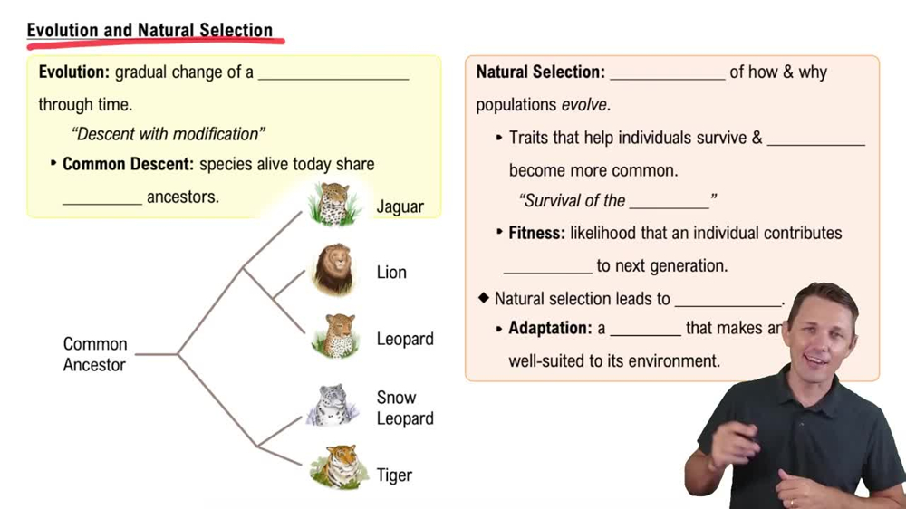 Evolution and Natural Selection