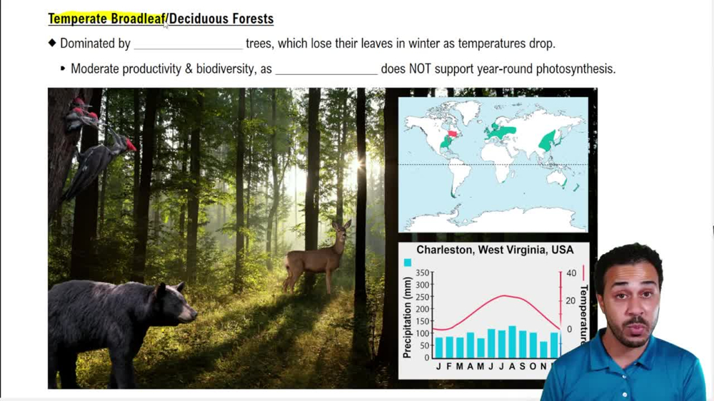 Temperate Broadleaf/Deciduous Forests