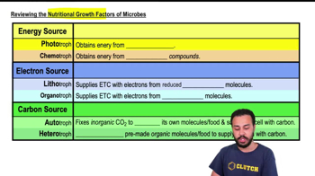 Reviewing the Nutritional Growth Factors of Microbes