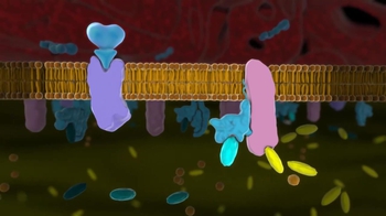 BioFlix: Mechanism of Hormone Action: Second Messenger cAMP