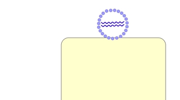 Animation: Simplified Viral Replicative Cycle