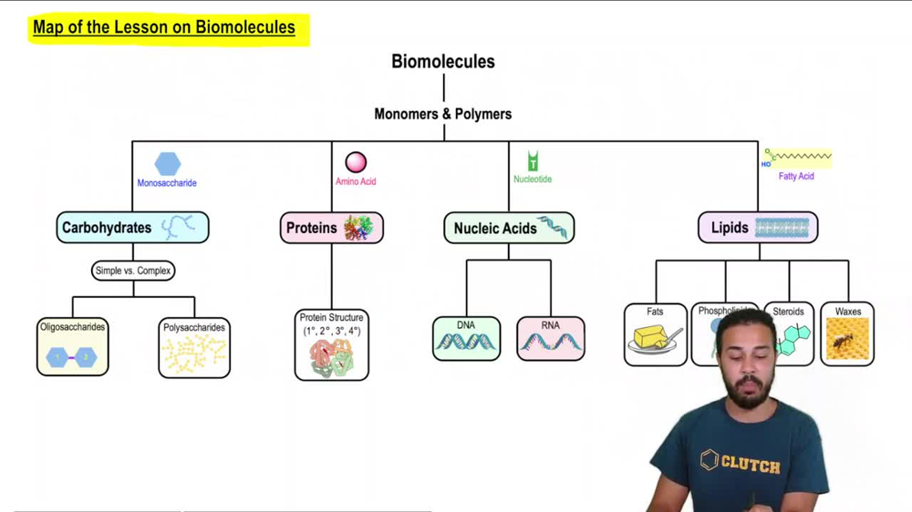 Map of the Lesson on Biomolecules