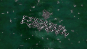 BioFlix: Flow of Carbon Atoms