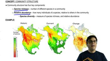 Community Structure