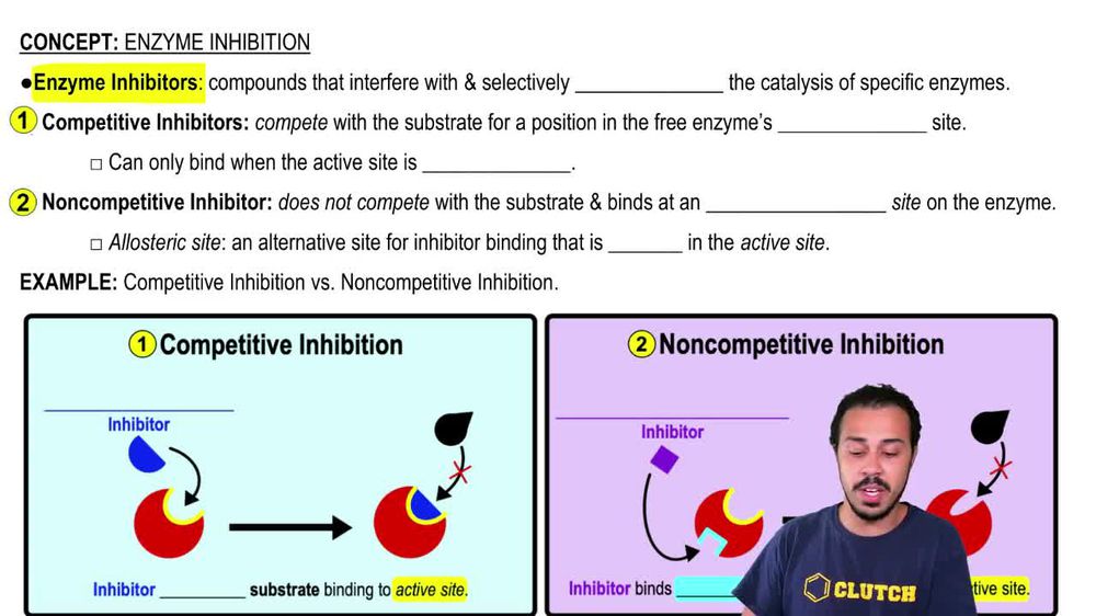 Enzyme Inhibition