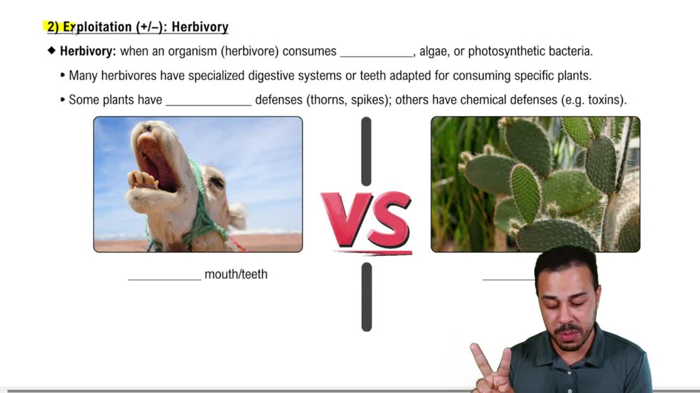 2) Exploitation (+/-): Herbivory