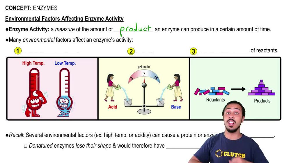 Environmental Factors Affecting Enzyme Activity