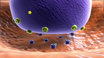 HHMI BioInteractive: Blockage of Motor Neuron Synapses