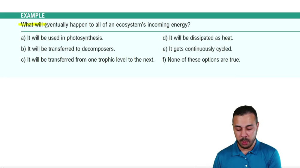 Introduction to Ecosystems Example 1