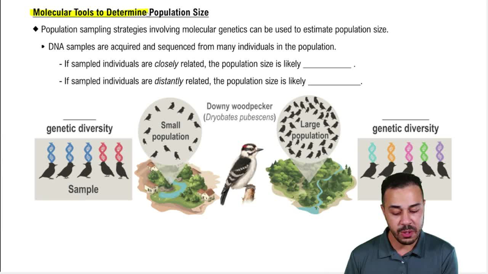Molecular Tools to Determine Population Size