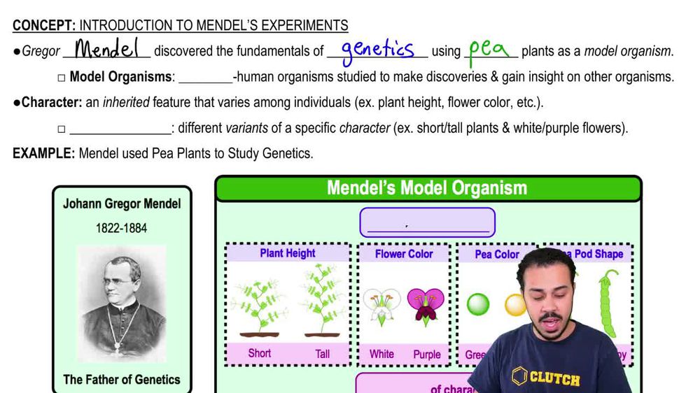 Introduction to Mendel's Experiments