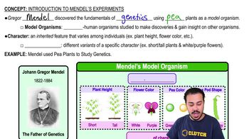 Introduction to Mendel's Experiments