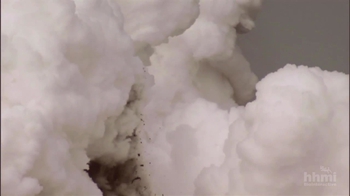 HHMI BioInteractive: The Origin of Humans