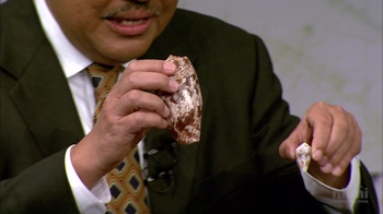 HHMI BioInteractive: Cone Snail Toxins