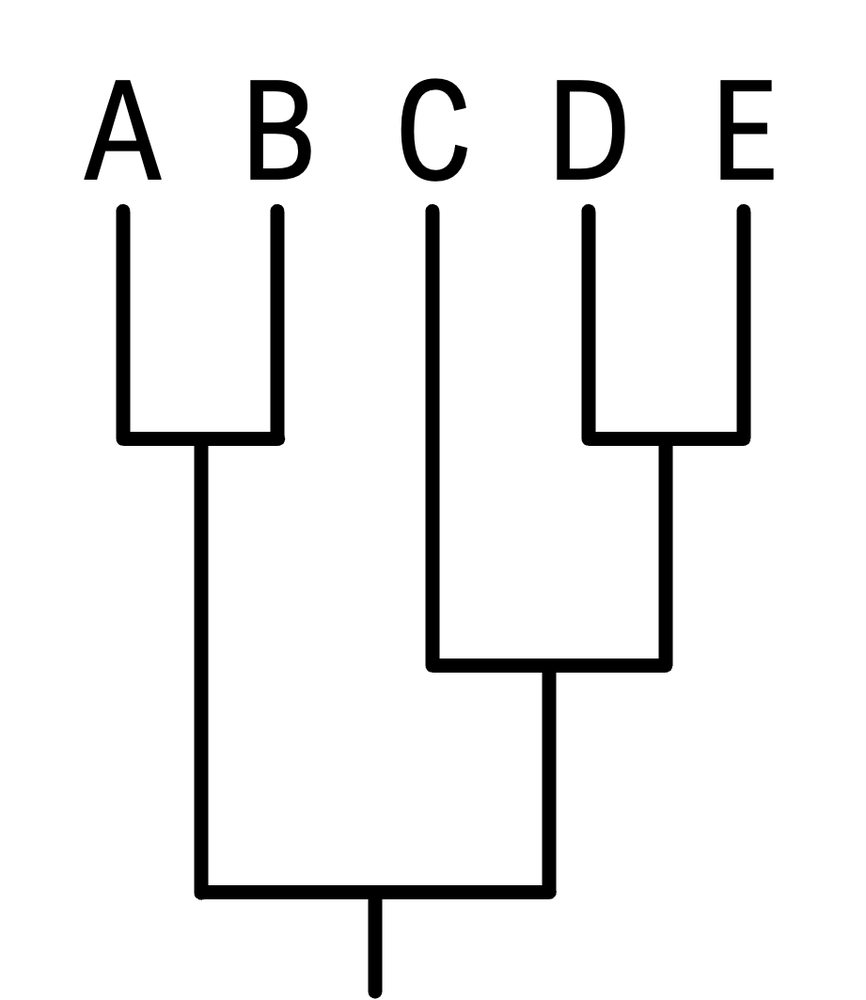 Phylogenetic tree showing evolutionary relationships among species A, B, C, D, and E.