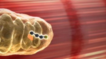 BioFlix: Glycolysis