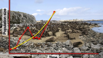 BioFlix: Logistic Growth