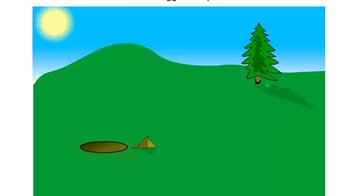 Animation: Digger Wasps and Landmarks