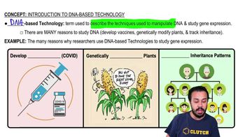 Introduction to DNA-Based Technology