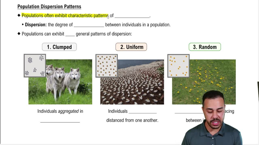Population Dispersion Patterns