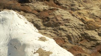 HHMI BioInteractive: How to Find a Dinosaur