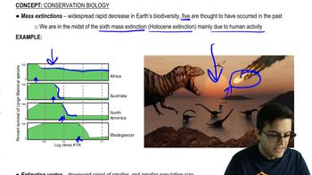 Extinction