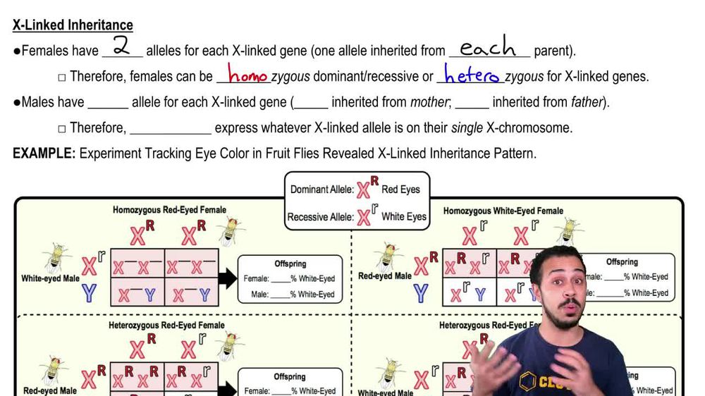X-Linked Inheritance