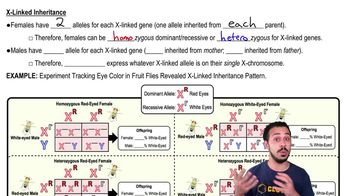 X-Linked Inheritance