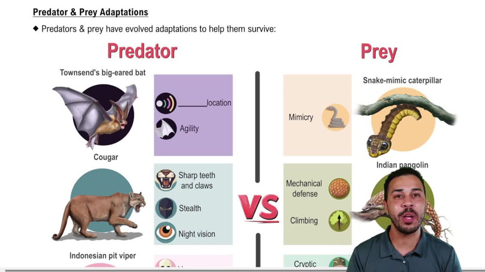 Predator & Prey Adaptations
