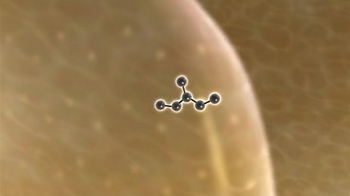 BioFlix: Cellular Respiration