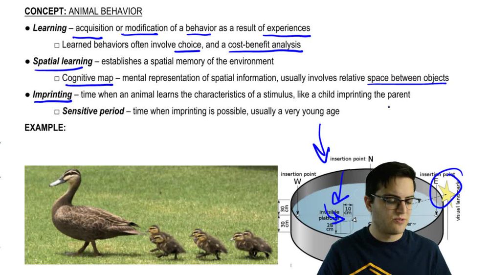 Learning and Communication