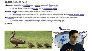 Learning and Communication