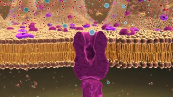 BioFlix: Passive Transport