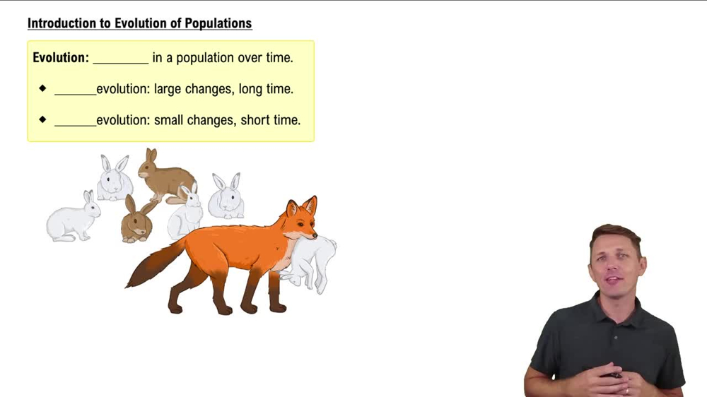 Introduction to Evolution of Populations