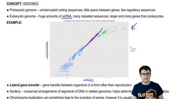 Genomes and Genome Evolution