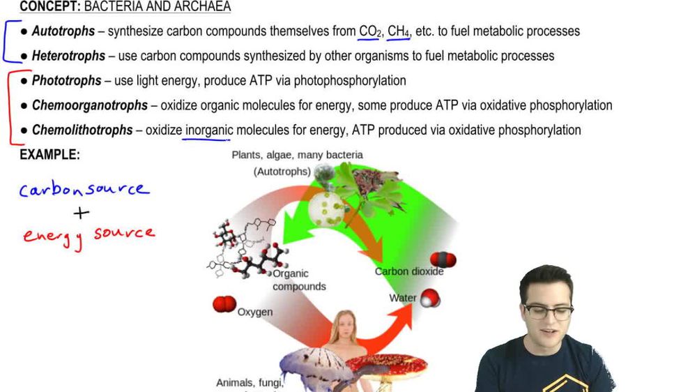 Prokaryote Metabolism