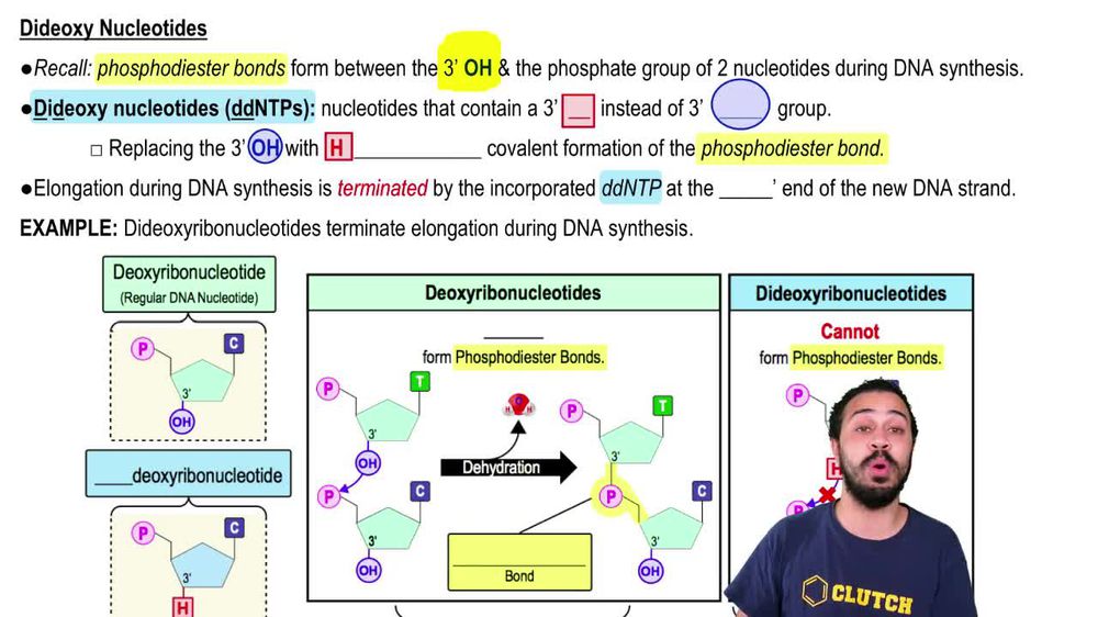 Dideoxy Nucleotides