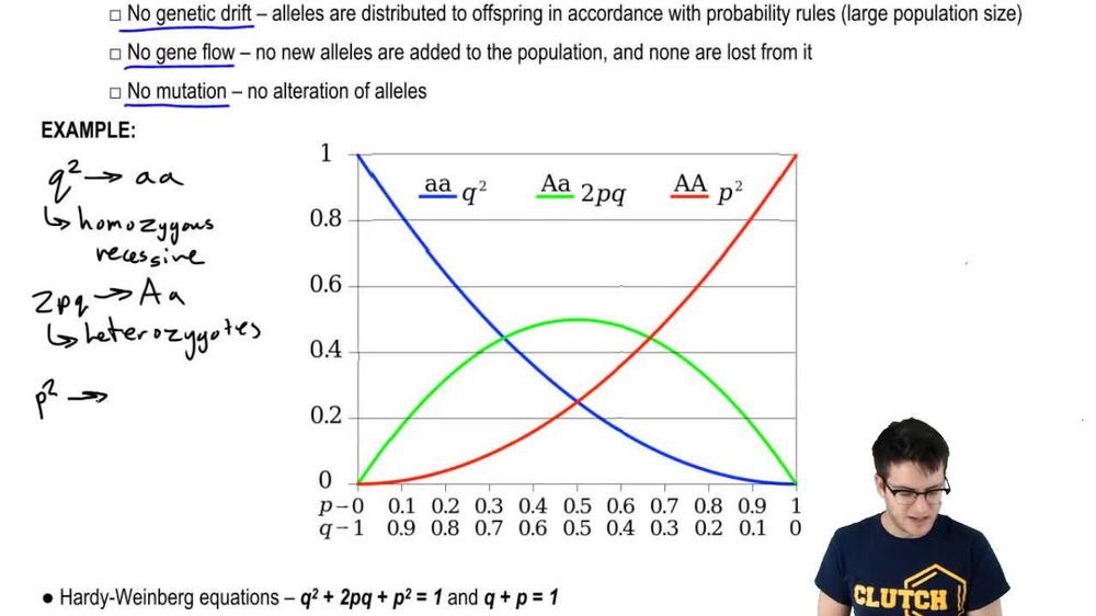 Hardy-Weinberg Model