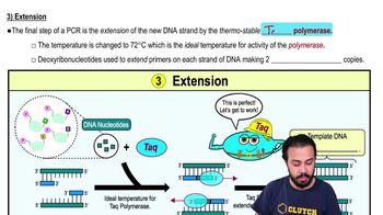 3) Extension