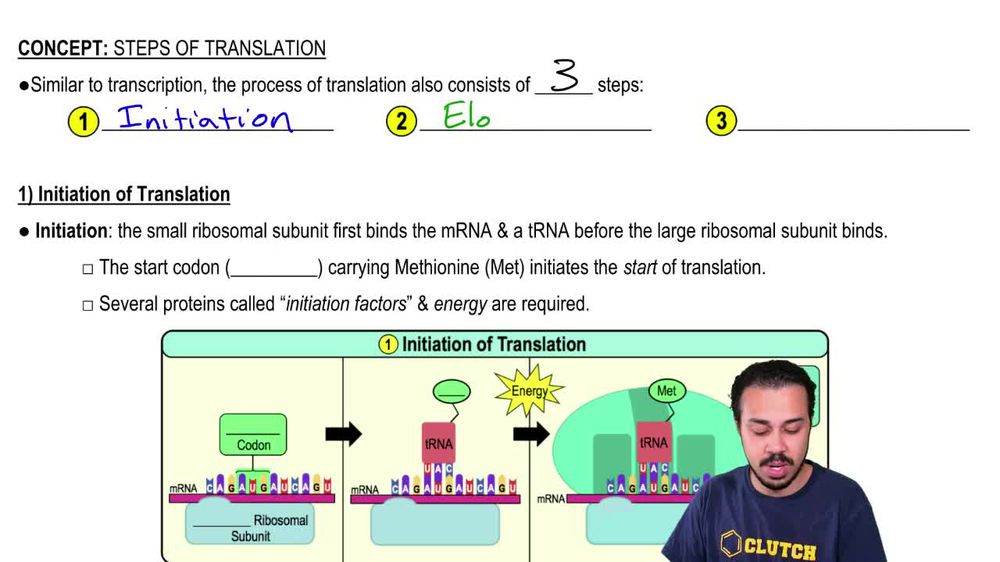 1) Initiation of Translation