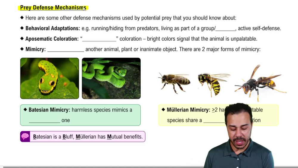 Prey Defense Mechanisms