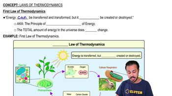First Law of Thermodynamics