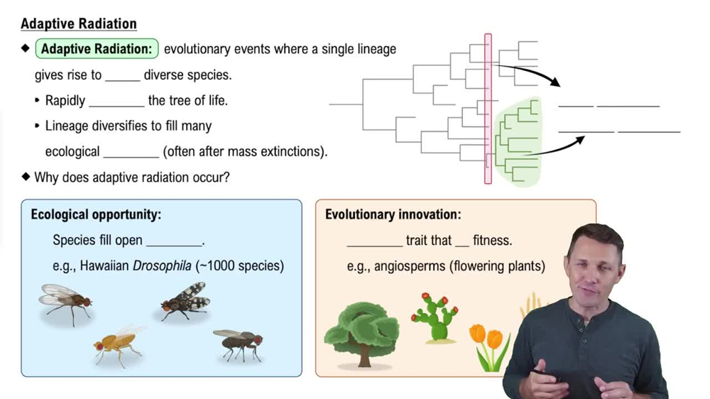 Adaptive Radiation