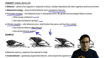 Behavior