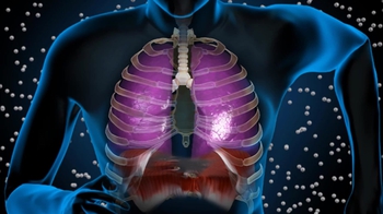 BioFlix: Mechanics of Breathing