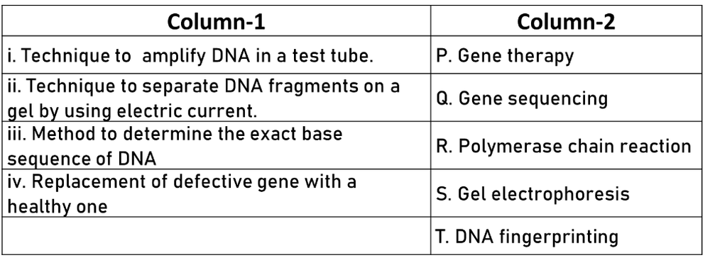 Matching DNA techniques with their descriptions: amplifying DNA, separating fragments, sequencing bases, and gene replacement.