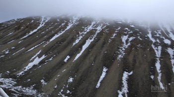 HHMI BioInteractive: The Origin of Tetrapods