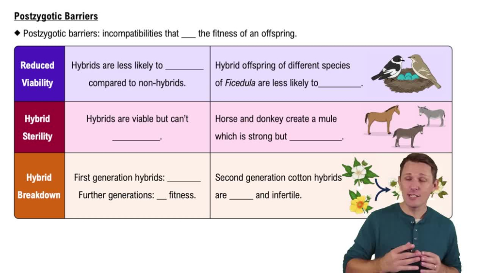 Postzygotic Barriers