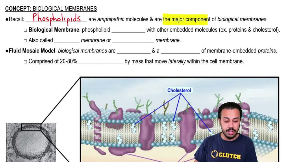 Biological Membranes