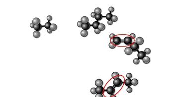 Animation: Diversity of Carbon-Based Molecules